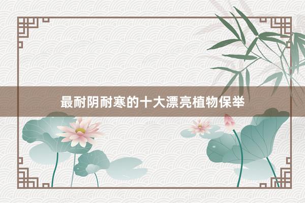 最耐阴耐寒的十大漂亮植物保举