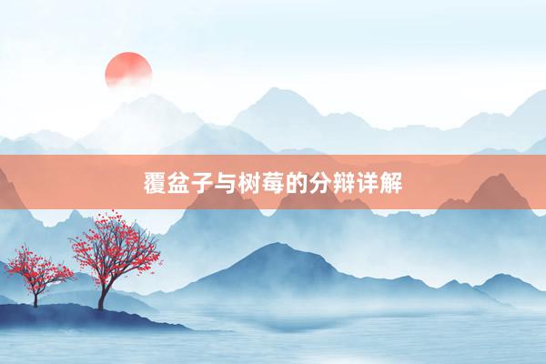 覆盆子与树莓的分辩详解